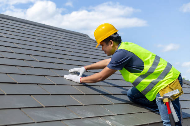 Roof Gutter Cleaning in Wyoming, DE