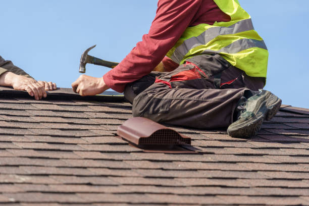 Best Local Roofing Companies  in Wyoming, DE