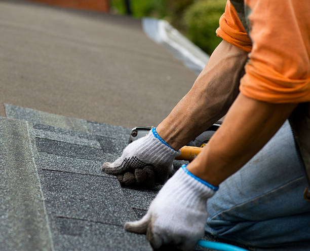 Best Roofing Contractor Near Me  in Wyoming, DE