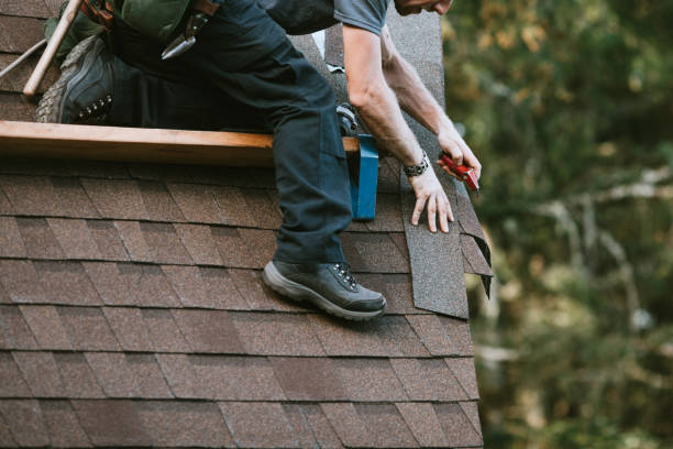Best Roof Inspection Near Me  in Wyoming, DE