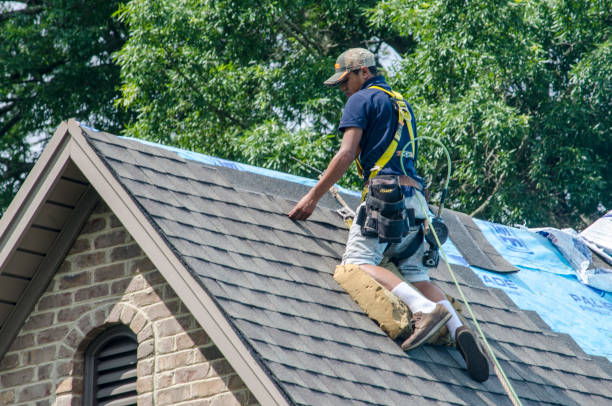 Best Storm Damage Roof Repair  in Wyoming, DE